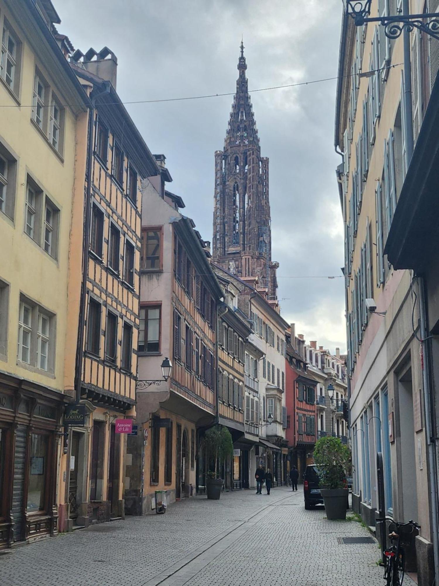 Appartement Secteur Cathedrale Strasbourg Ngoại thất bức ảnh